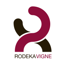 logo_main.png